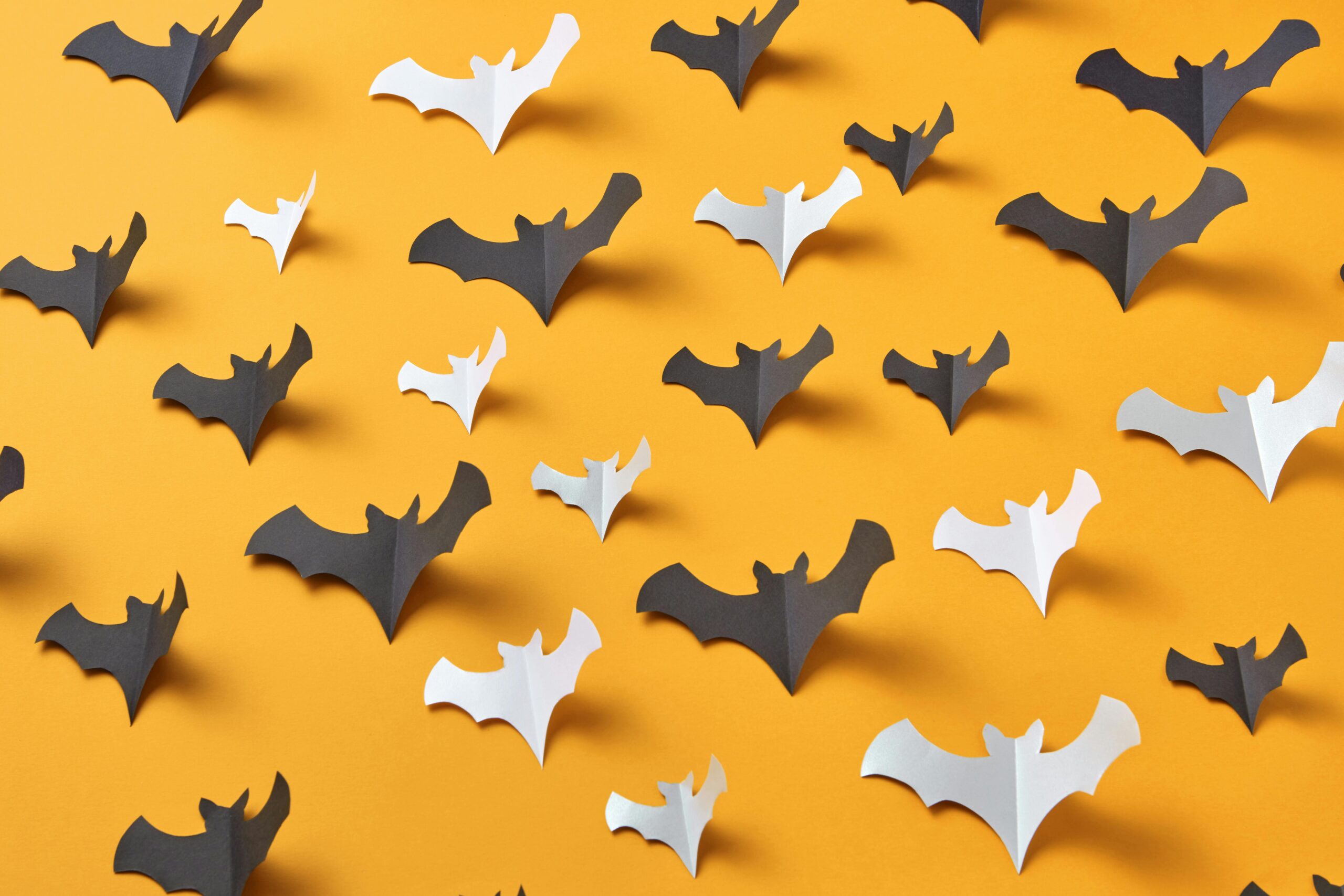 タイ10年間の軌跡 『コウモリ寺!(ワット・カオチョンプラン)』